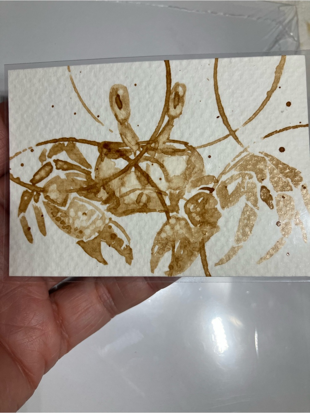 Aceo original crab coffee painting ATC Java art ocean life gift treat yourself
